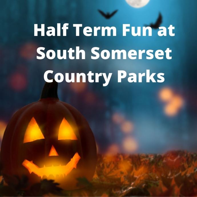 Half Term Fun at our Country Parks