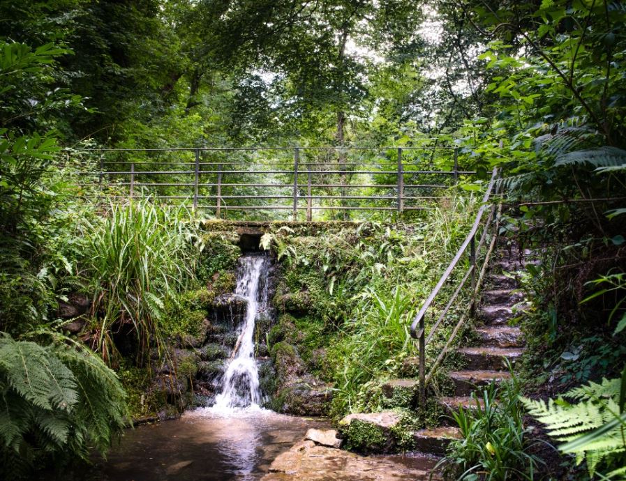 Vote for Friends of Yeovil Country Park!