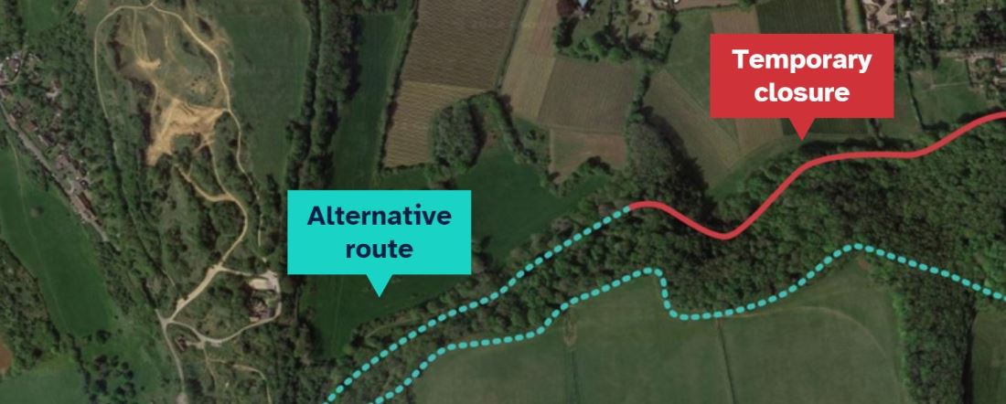 Important tree preservation work at Ham Hill