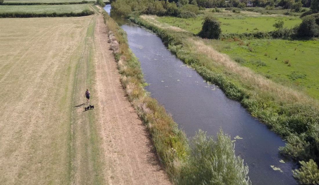 We love summer in South Somerset