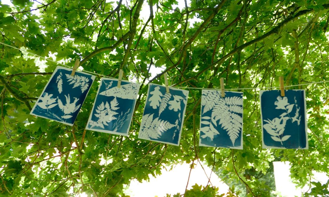 Would you like to gain experience in forest school and environmental education? 