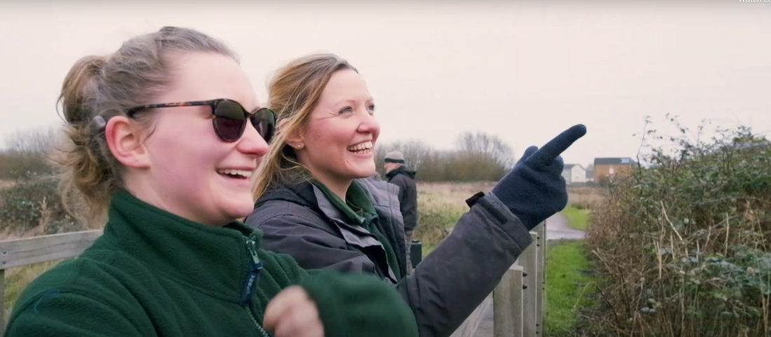 Celebrating Somerset