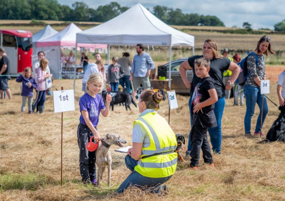 Ham Hill Fun Dog Show is back!