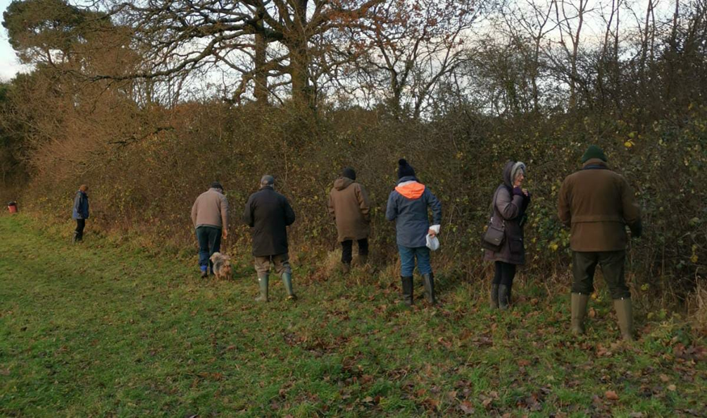 New site record of butterfly discovered at Chard Reservoir LNR