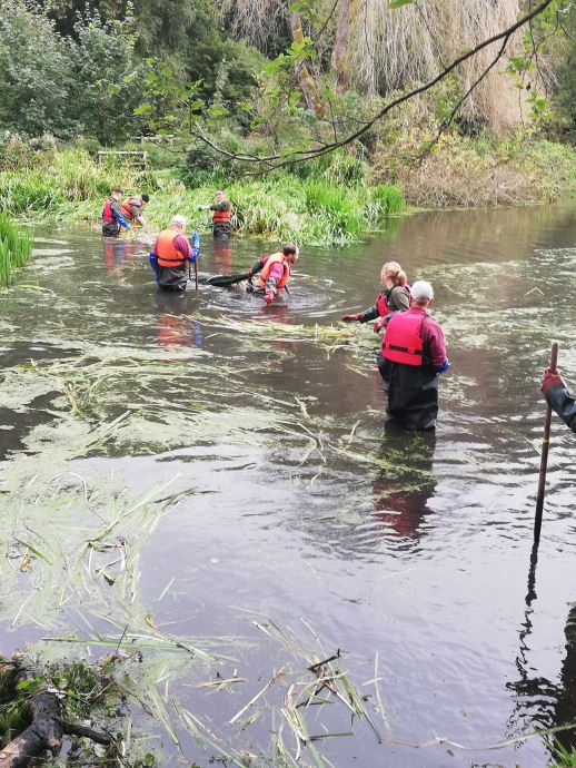 Volunteers improve lake habitat