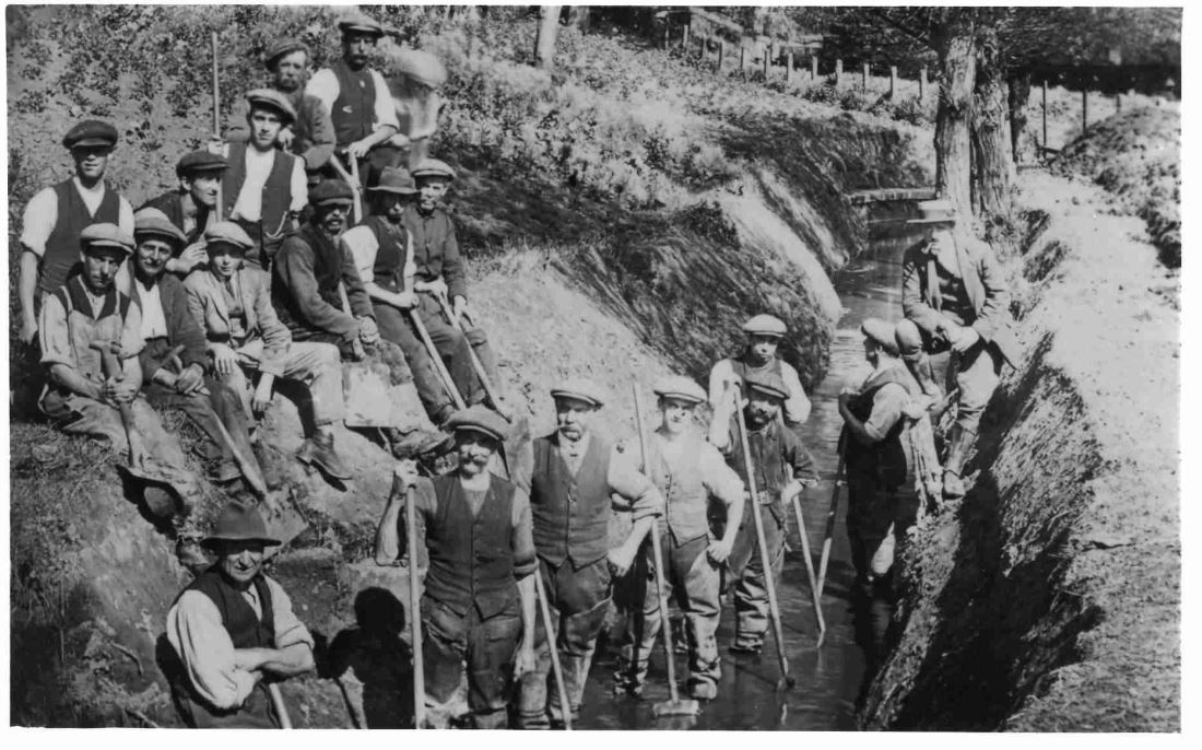 Giving Dodham Brook a Hand